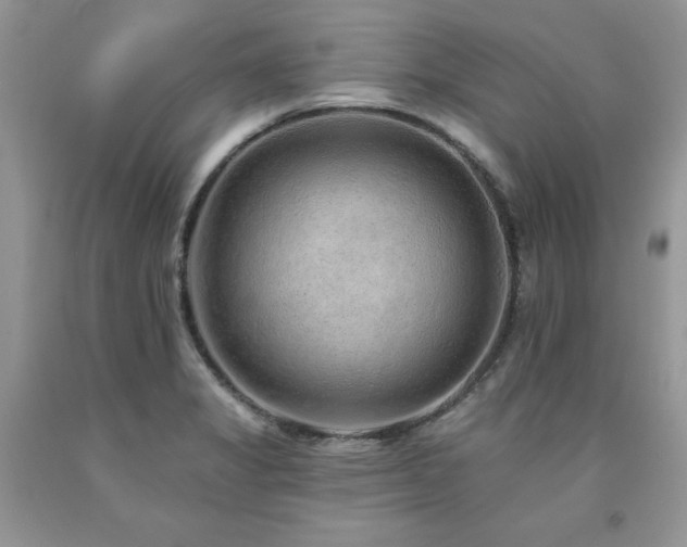 X0000094171325200710261100