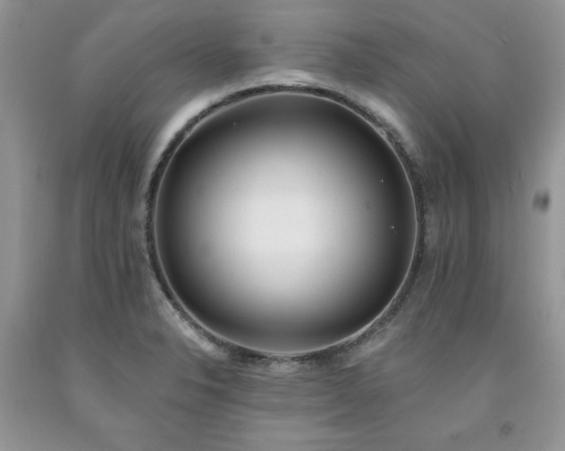 X0000094171326200710261100