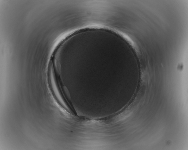 X0000094171327200710261100