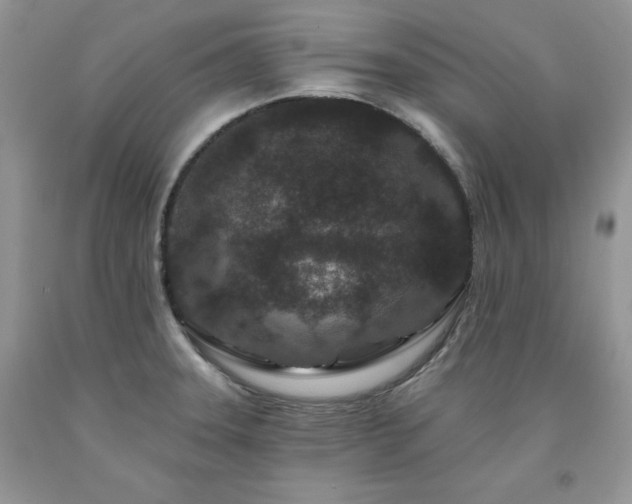 X0000094171331200710261100