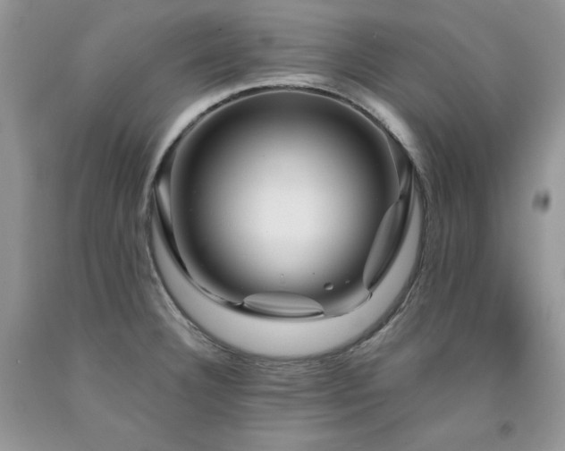X0000094171332200710261100
