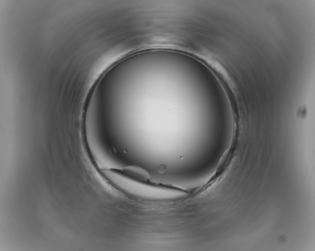 X0000094171333200710261100