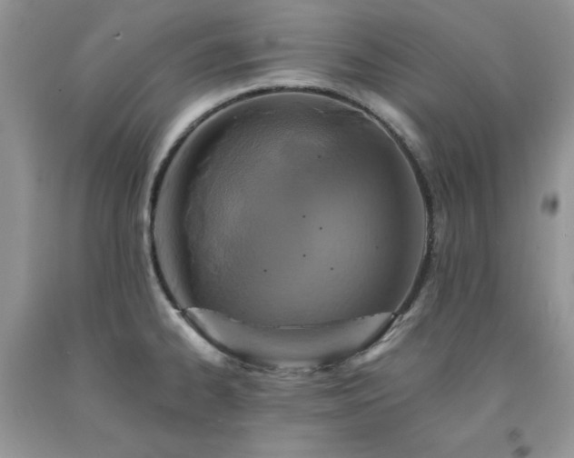 X0000094171334200710261100