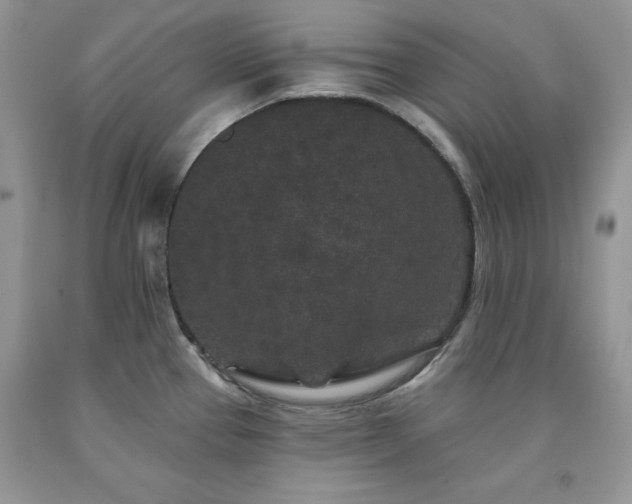 X0000094171337200710261100