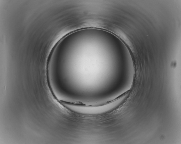 X0000094171339200710261100