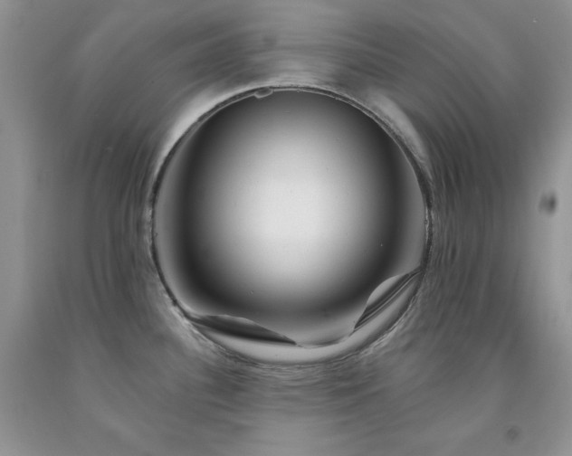 X0000094171340200710261100