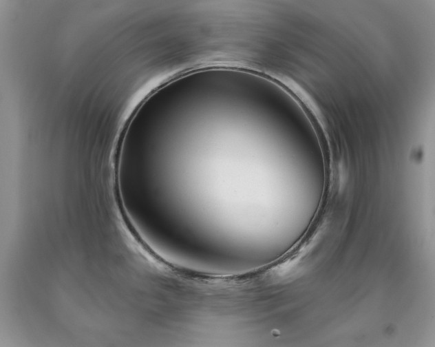 X0000094171341200710261100