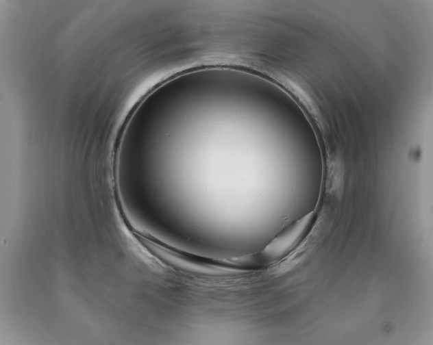 X0000094171342200710261100
