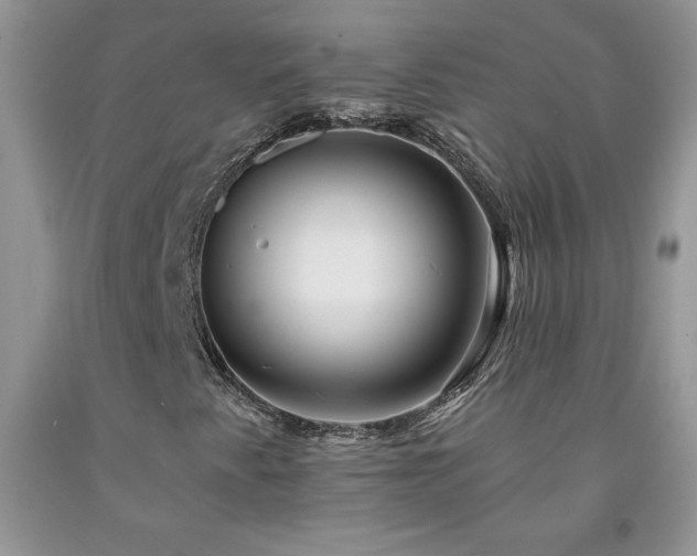 X0000094171345200710261059