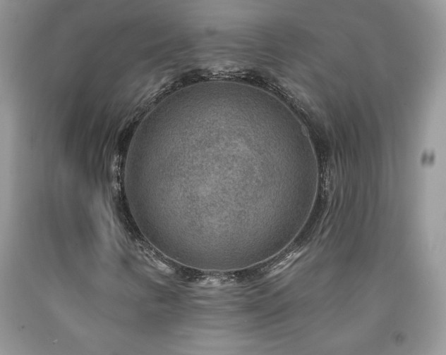 X0000094171346200710261059