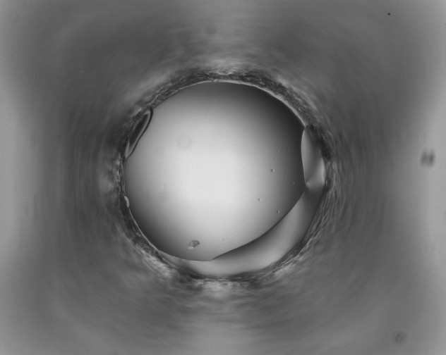 X0000094171349200710261059