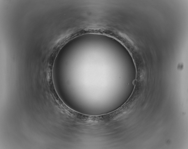 X0000094171350200710261059