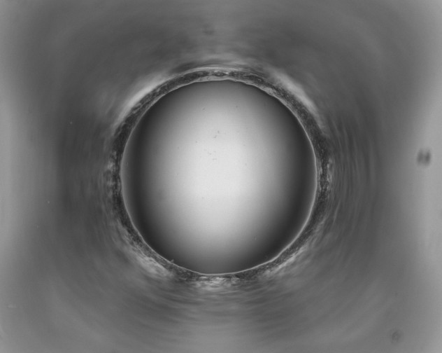 X0000094171352200710261059