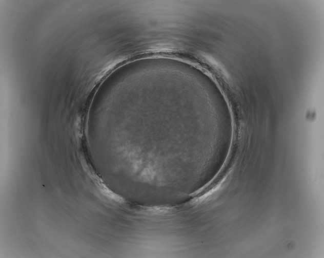 X0000094171353200710261059