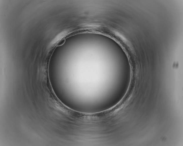 X0000094171354200710261059