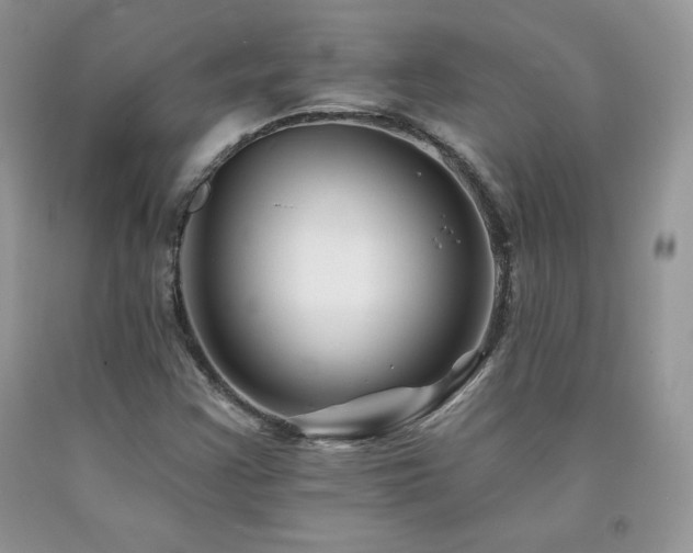 X0000094171355200710261059