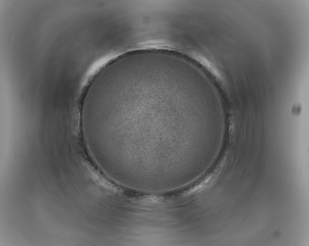 X0000094171358200710261059