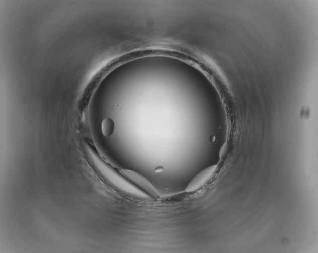 X0000094171360200710261059