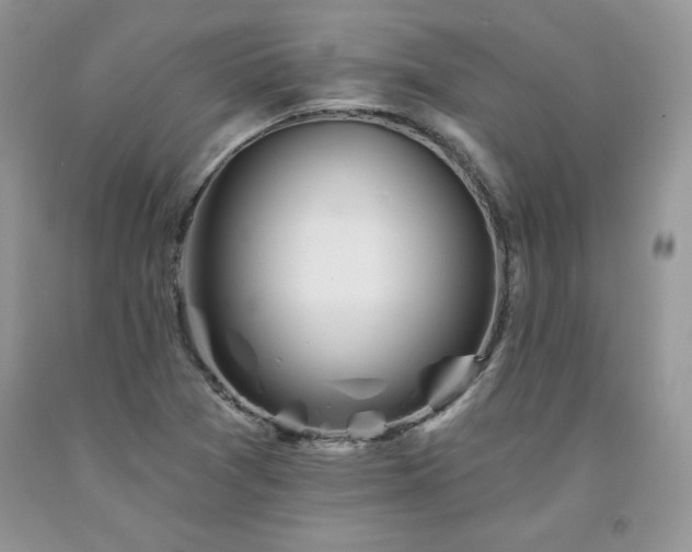 X0000094171361200710261059
