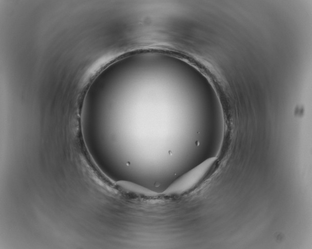 X0000094171363200710261059