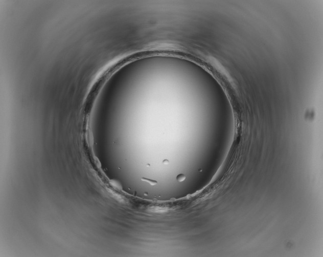 X0000094171364200710261059