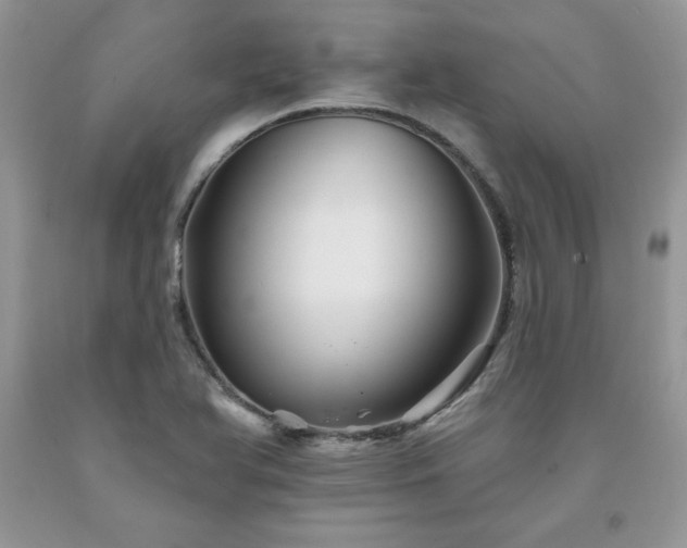 X0000094171366200710261059