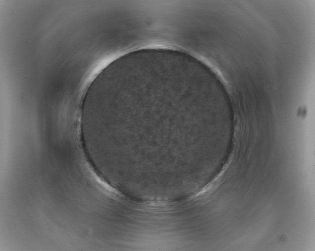 X0000094171367200710261059