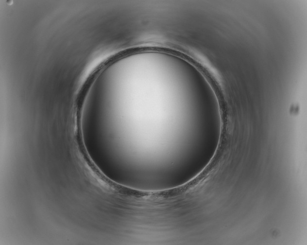 X0000094171368200710261059