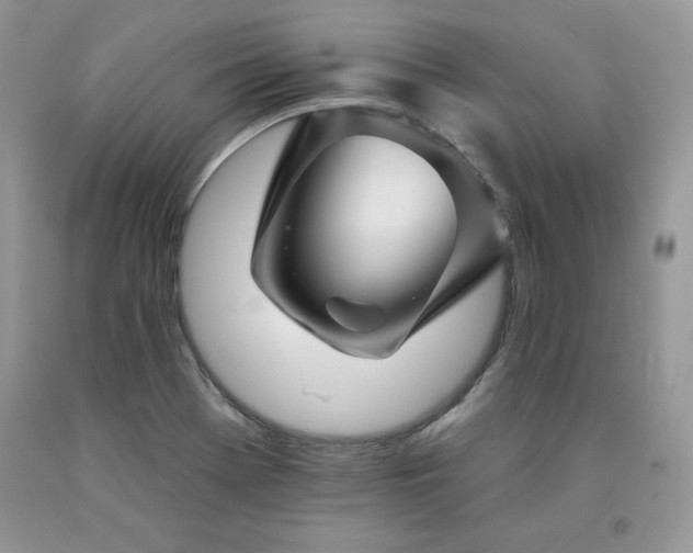 X0000094171369200710261059