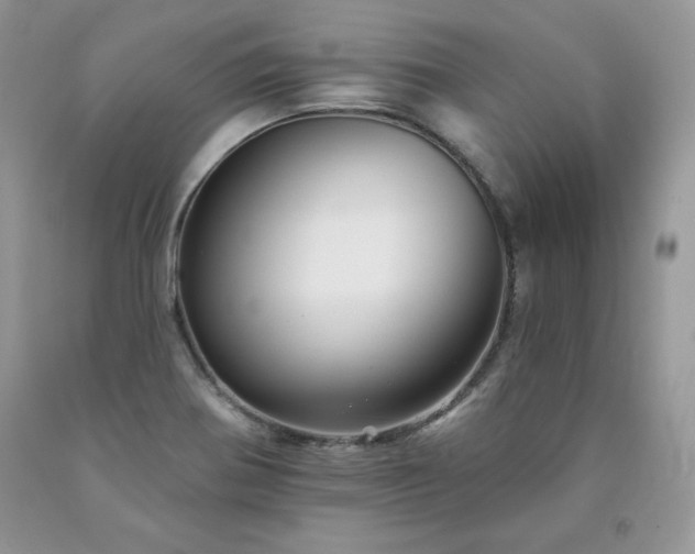X0000094171370200710261059