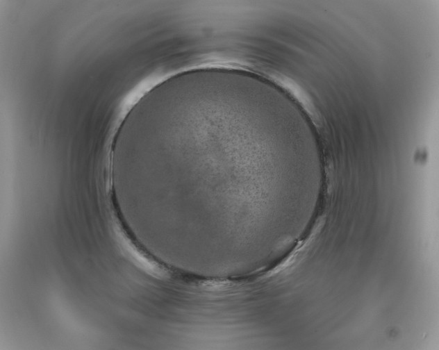 X0000094171371200710261059