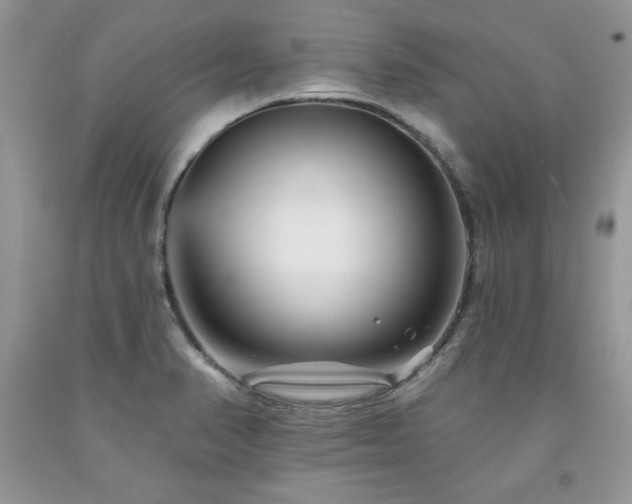 X0000094171374200710261059