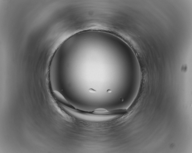 X0000094171375200710261059