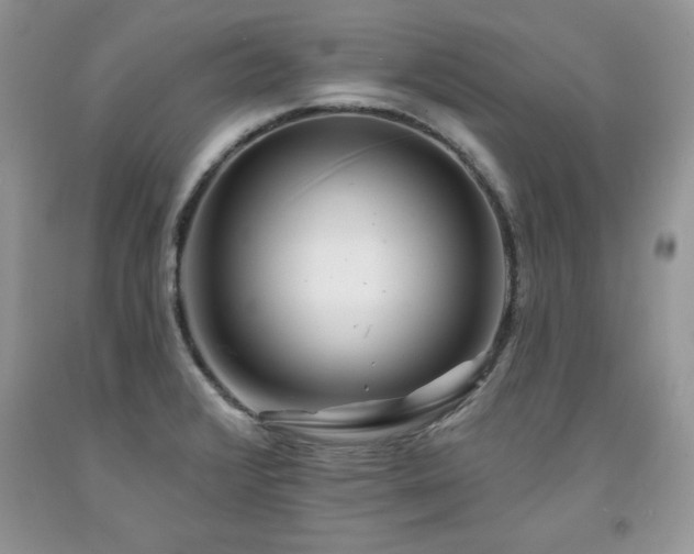 X0000094171376200710261059