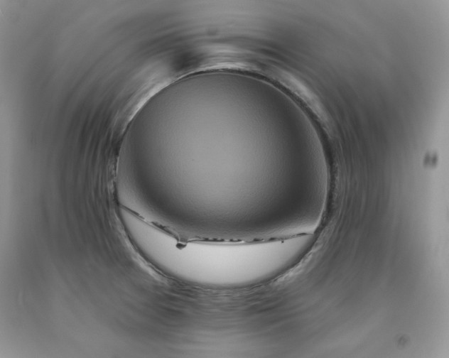 X0000094171377200710261059