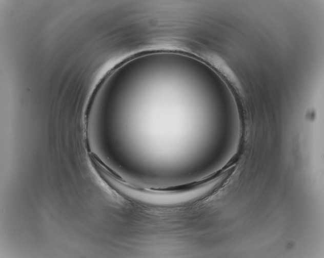 X0000094171380200710261059