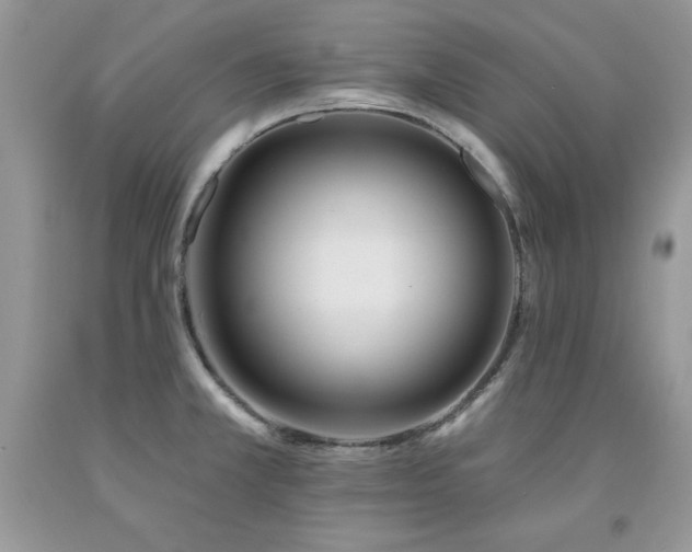 X0000094171381200710261059
