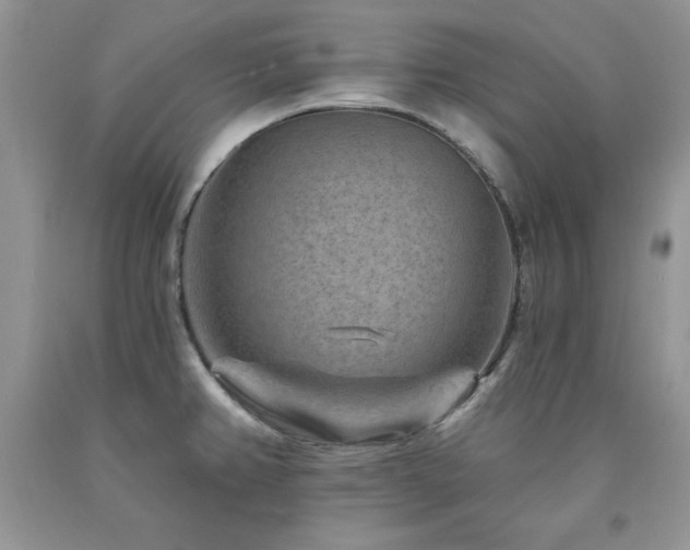 X0000094171382200710261059