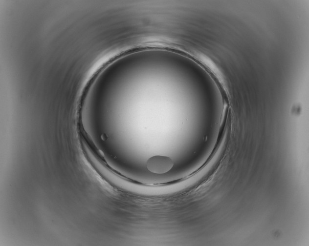 X0000094171384200710261059