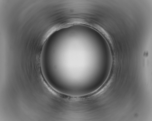 X0000094171385200710261059
