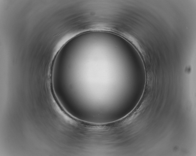 X0000094171387200710261059