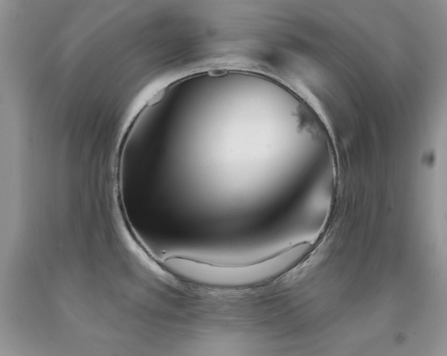 X0000094171389200710261059