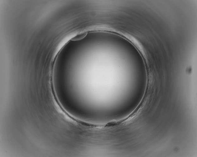 X0000094171390200710261059