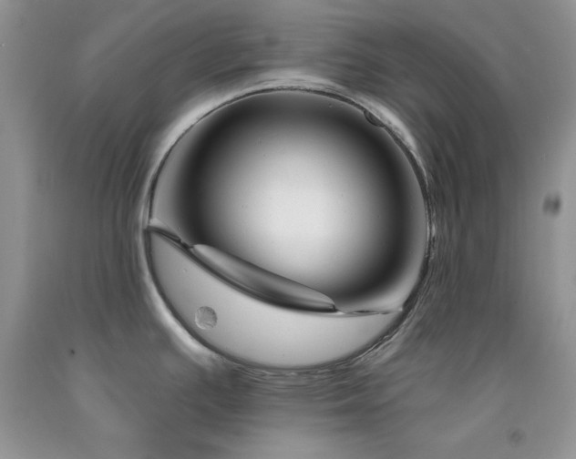 X0000094171391200710261059