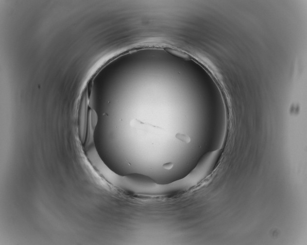 X0000094171392200710261059