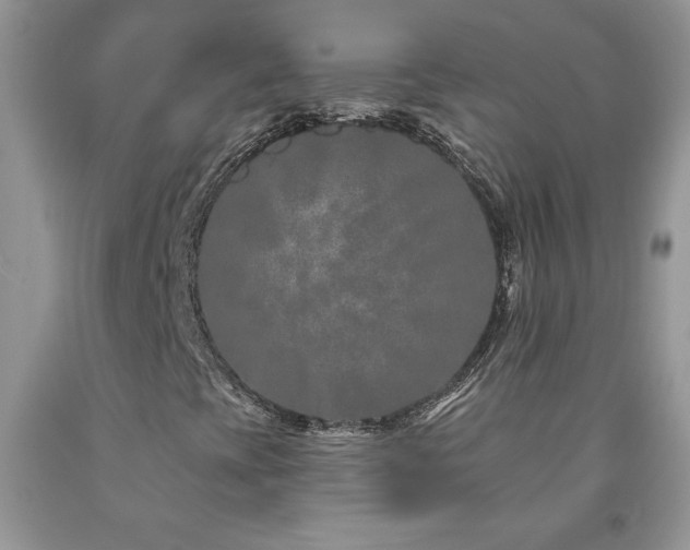 X0000094171393200710261058