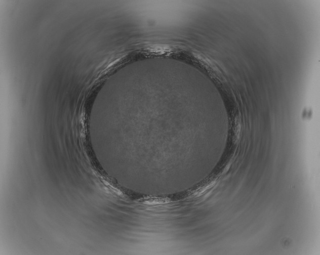 X0000094171394200710261058
