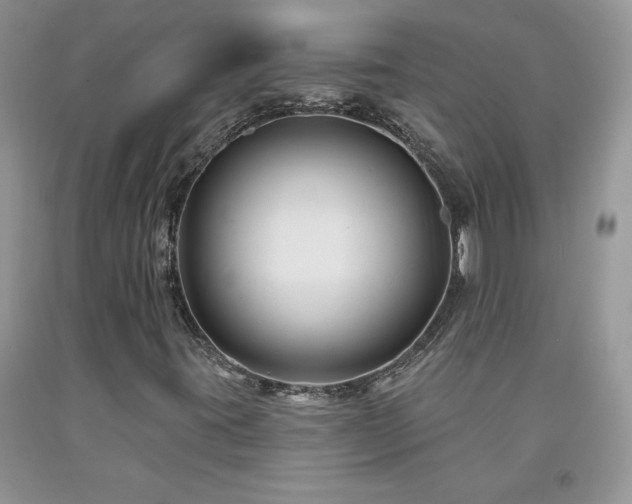 X0000094171395200710261058
