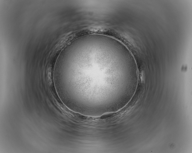 X0000094171396200710261058