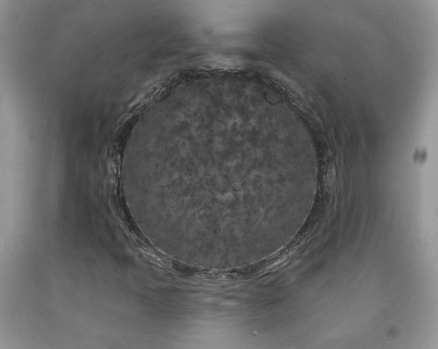 X0000094171397200710261058